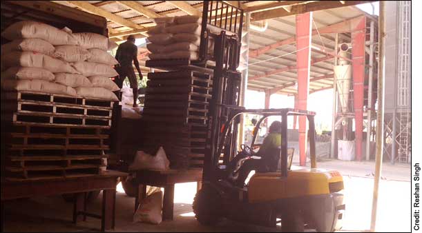 Metal Pallet For Handling Dry Goods in the Tropics